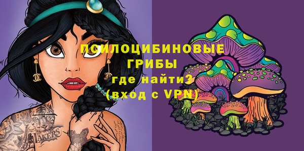 дурь Нязепетровск