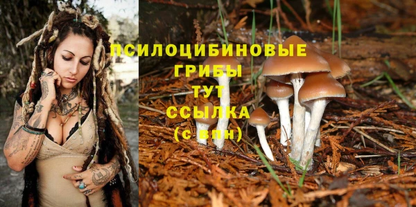 мефедрон мука Няндома