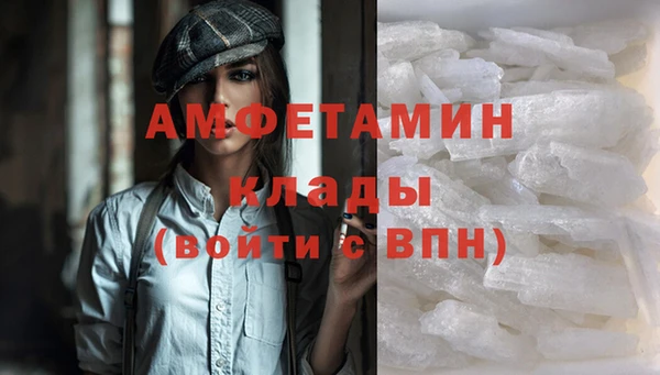 ПСИЛОЦИБИНОВЫЕ ГРИБЫ Новозыбков