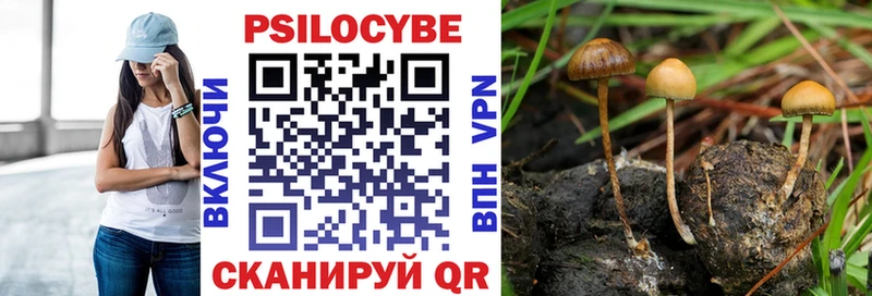omg ONION  Кирс  Псилоцибиновые грибы Psilocybe 